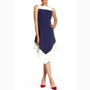 Amelia Colorblock Dress